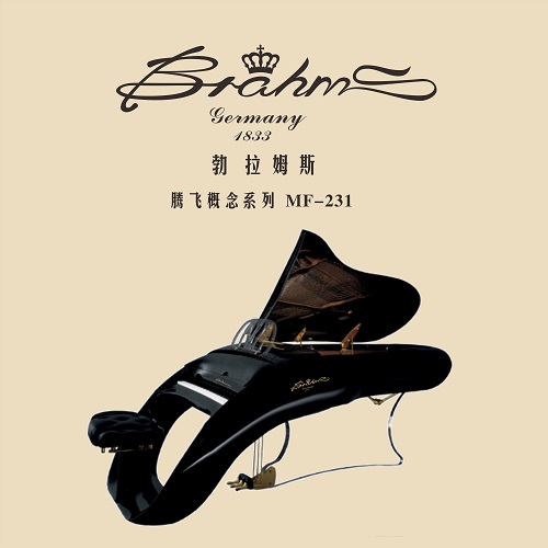 MF-186腾飞概念黑