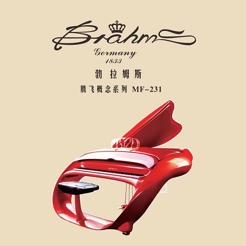 MQ-186腾飞概念红